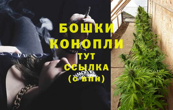 эйфоретик Богородск