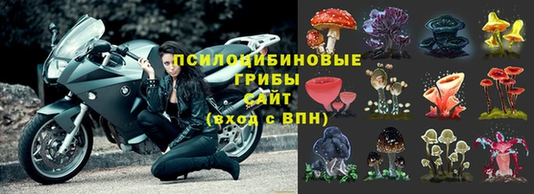 каннабис Богородицк