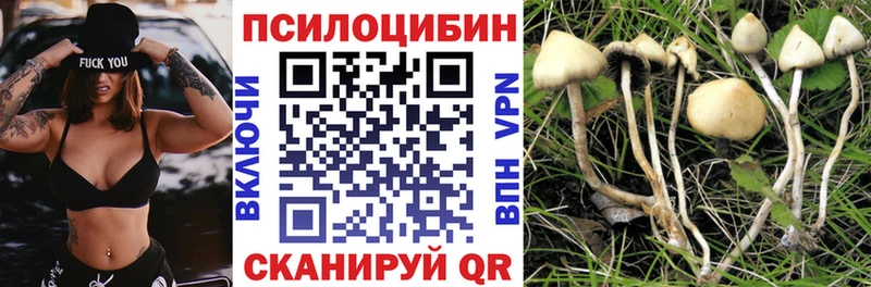Псилоцибиновые грибы Cubensis  площадка какой сайт  Костомукша  кракен маркетплейс 