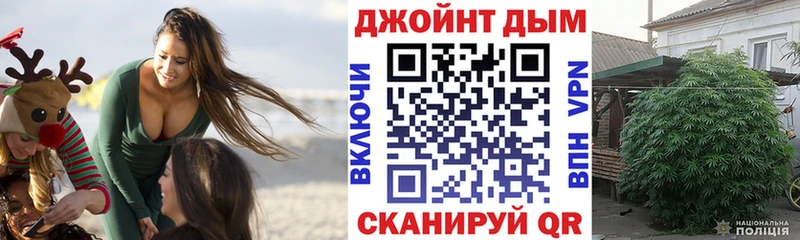 наркошоп  Костомукша  Бошки марихуана план 